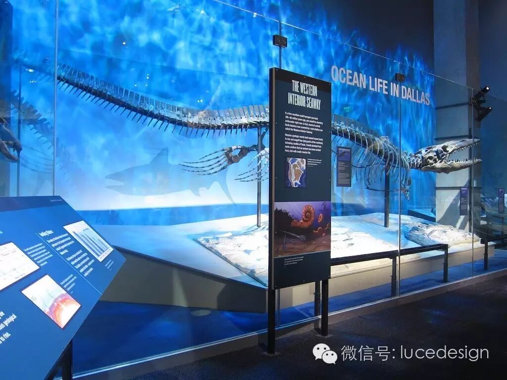 从剧场到博物馆