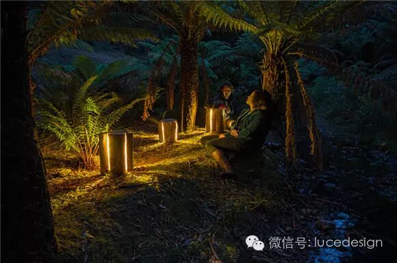 【最设计】不完美的木材，却是最完美的灯