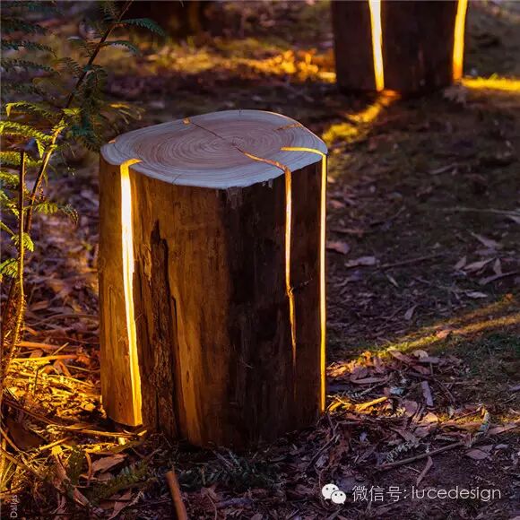 【最设计】不完美的木材，却是最完美的灯