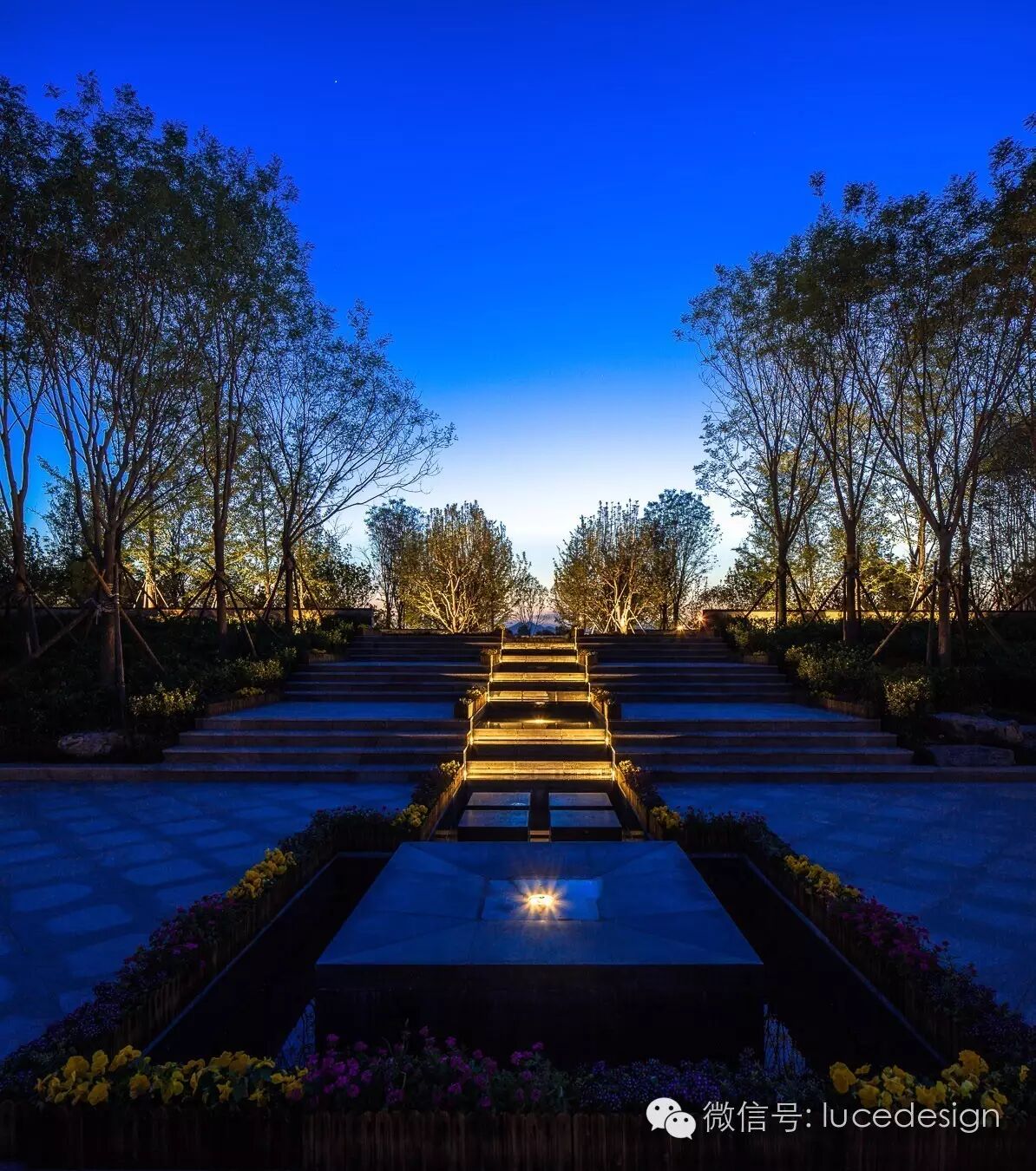 水木之轩，华清之光