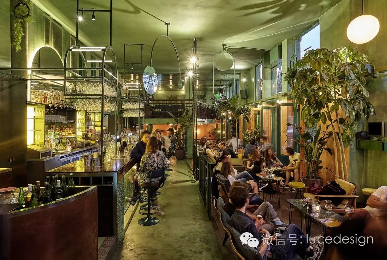 热带风情 绿野雨林