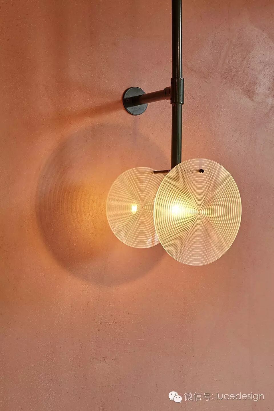 热带风情 绿野雨林