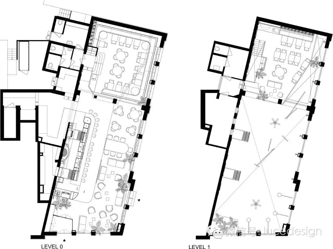 热带风情 绿野雨林