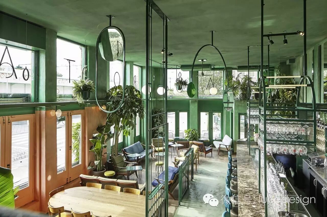 热带风情 绿野雨林