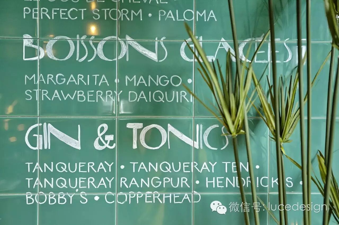 热带风情 绿野雨林