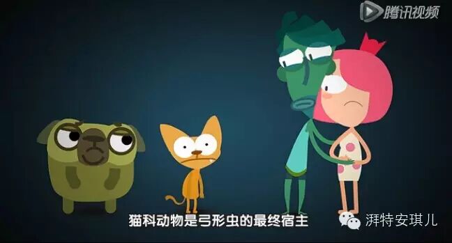 【信科学不传谣】怀孕感染弓形虫的概率究竟有多大?大概0.0003%喽-怀孕期