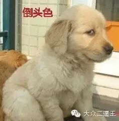 感谢张杰何炅的鼓励