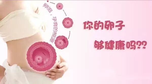 备孕中?先自测下你的小卵子是不是够优秀!-怀孕期