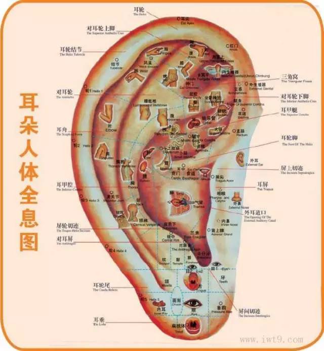 对付牙疼比电门开关都灵赶紧保存