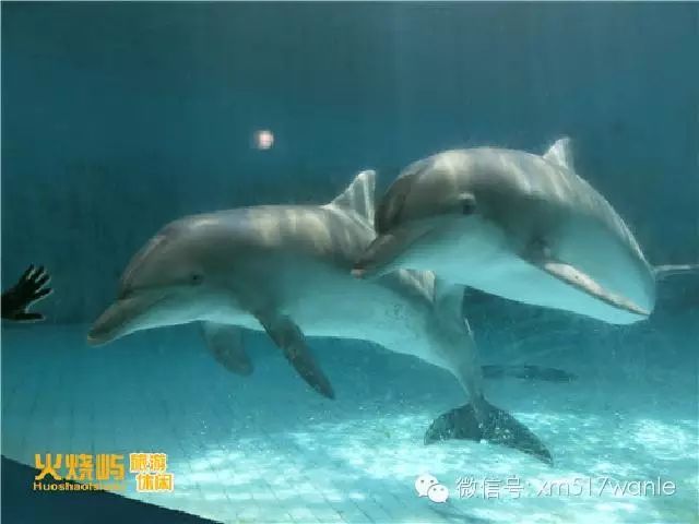 http://mmbiz.qpic.cn/mmbiz/ACwsRnmiby76kRicp6XTTJzlmZrVxria3ZvKibUeFwXudLsxuTCN4P6UPo9nYkd4sWSOwwzj9v0429JpibYNoXFPAsw/0