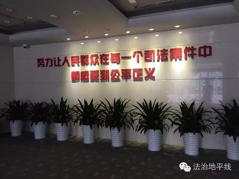 最高人民法院民商事案件申請再審實務操作指南｜法治地平線 動漫 第6張