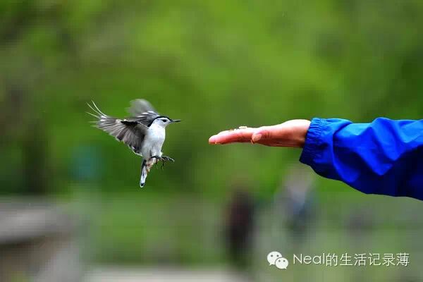 寶貝詳情設(shè)計、首頁以及流量