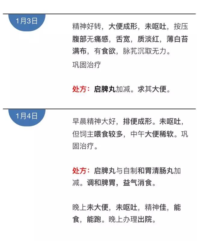 心得宠物经验分享_宠物经验心得_心得宠物经验怎么写