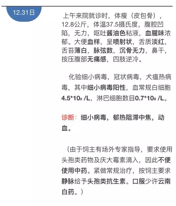 心得宠物经验分享_心得宠物经验怎么写_宠物经验心得