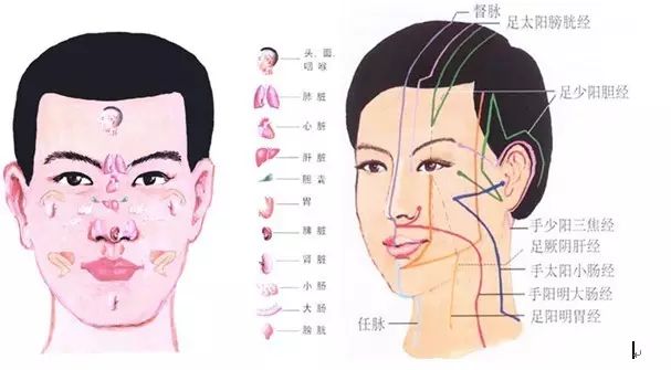 面部刮痧独特的作用原理:面部刮痧是以中医经络学为理论基础,通过