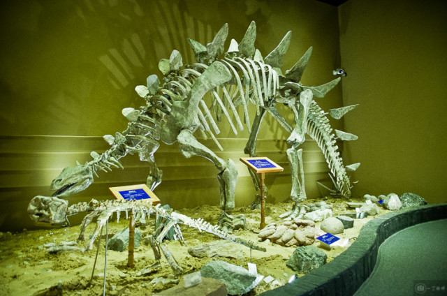 SIT校园游览攻略3.0版