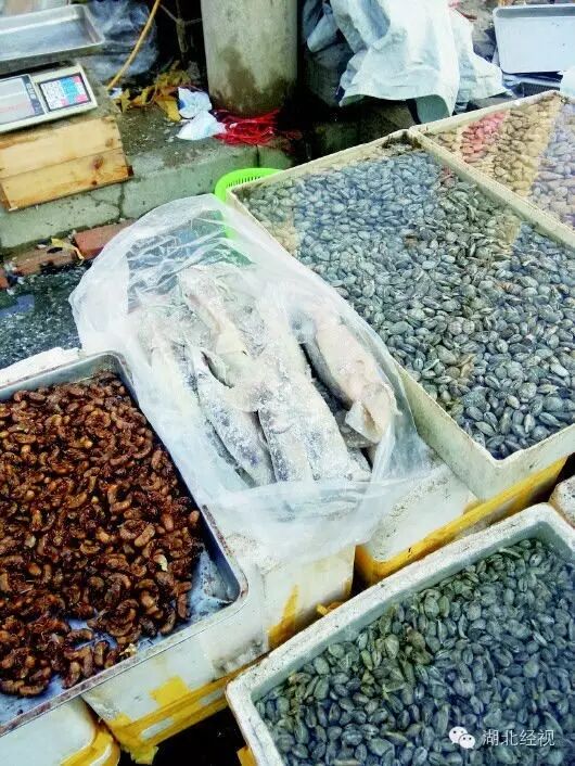 ģ2000ţӾüȩݹ人ԻҪ