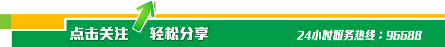 致富经兔子养殖_致富经养殖养兔_致富经养兔