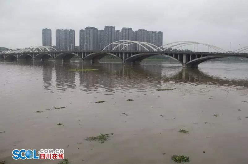 青衣江洪峰顺利进入岷江乐山启动防汛iv级应急响应降雨仍将继续!