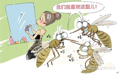 【妙招】被蚊子叮咬后如何止痒?