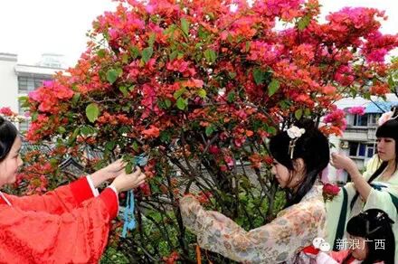 那些被遗忘的中国传统节日737 / 作者:奇葩处处有 / 帖子ID:111660