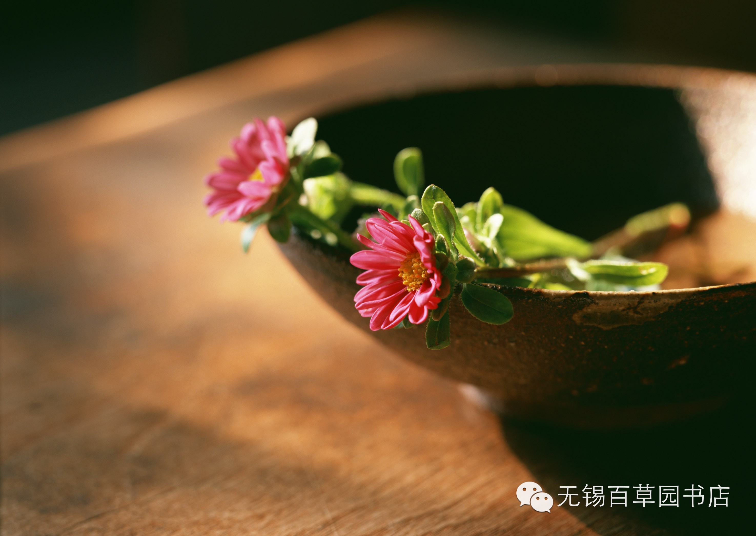 一花一世界,一字一深情