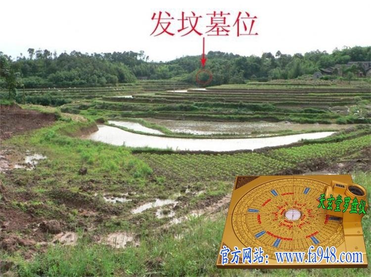 其规律为:子年正月八白土星人中宫;丑年正月五黄土星人中宫;寅年正月