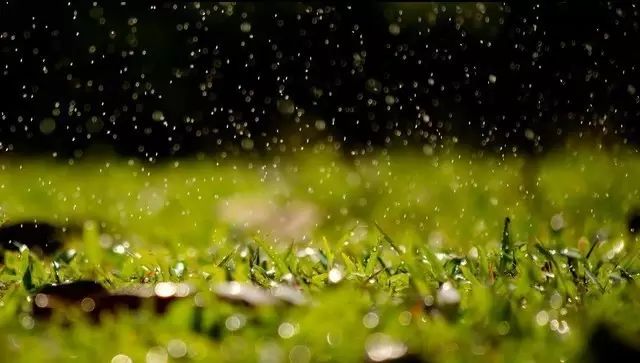 《初春小雨》 【唐】韩愈 天街小雨润如酥,草色遥看近却无.