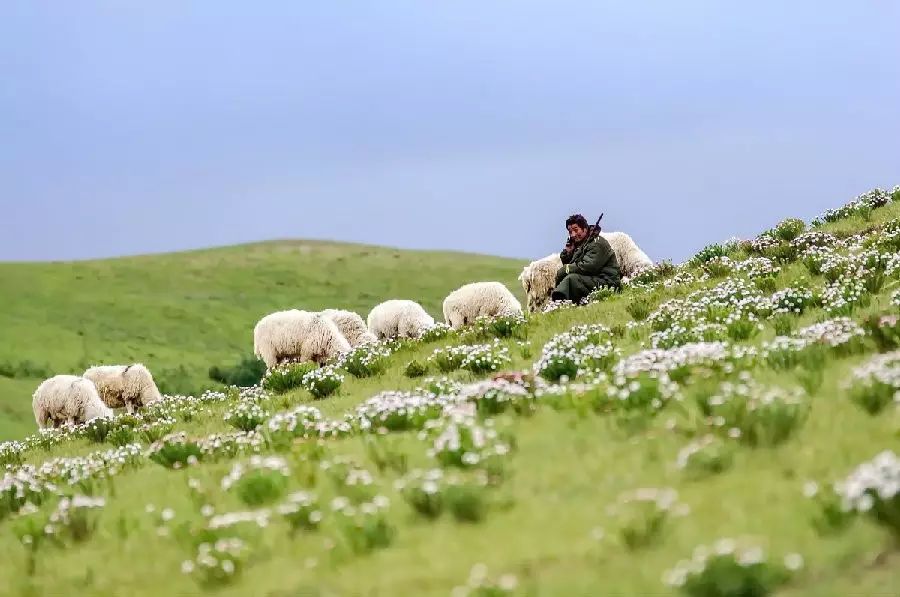 孤独的牧羊人云朵_孤独的牧羊人口哨版