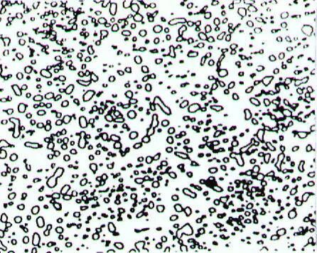 你真的得能讲清楚什么是金属材料的微观组织结构吗？（  金属材料科学与技术）的图7