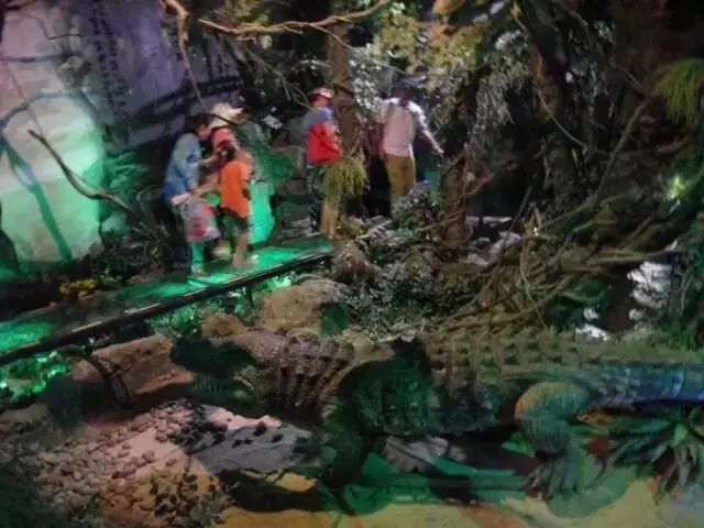 霍建华林心如恋爱,胡歌哭晕厕所…