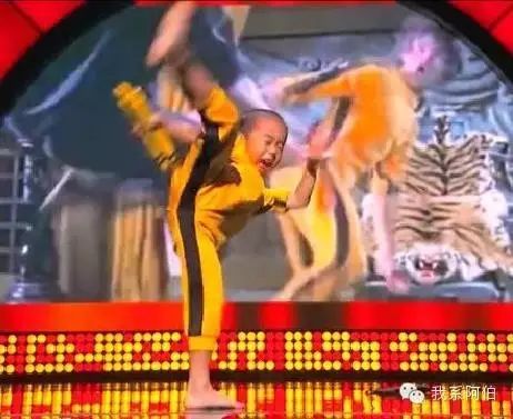 Mini版“李小龙”经典镜头神同步,卖萌全场嗨爆!