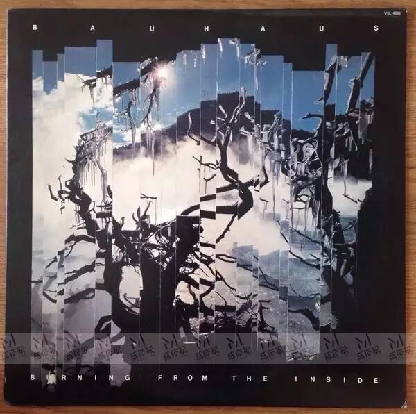 �ڽ��Ƽ�_����ͼƬ14