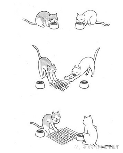 猫下棋