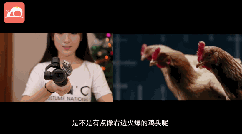 hello大家好,我是电动鸡头osmo