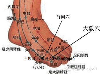 胆经上的穴位对女人的重要作用