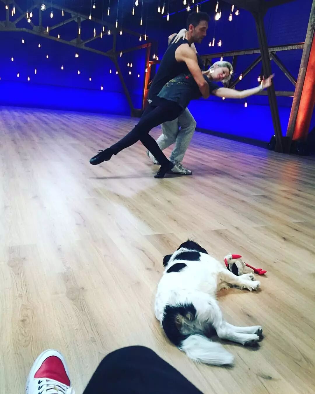 女神乔安娜Joanna怀孕7个多月仍努力教课-怀孕期