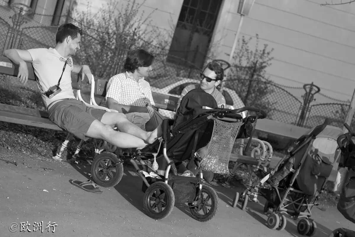 瑞典科学家完成动物子宫移植-让男人也怀孕!-怀孕期