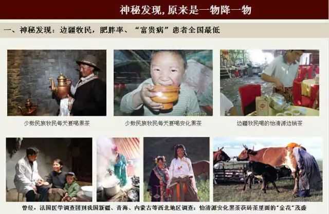 【养生黑茶】还一个健康的你 和亚健康说拜拜！