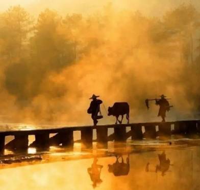 【人生感悟】学会五个字，终身不发火！