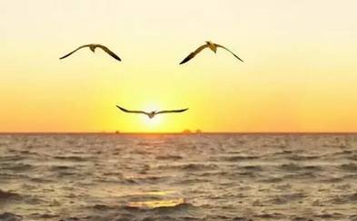 【人生感悟】真正的幸福：身上没病，心里没事