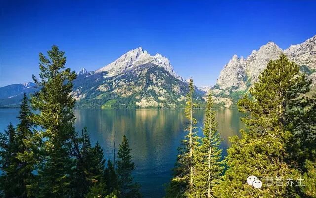 揭开终极底牌：癌症自愈心脏