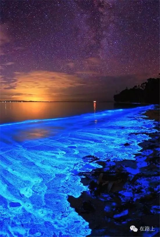 △波多黎各的荧光海滩