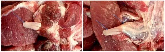 上半年这十大网络传闻全是谣言！哪条让你中招了？