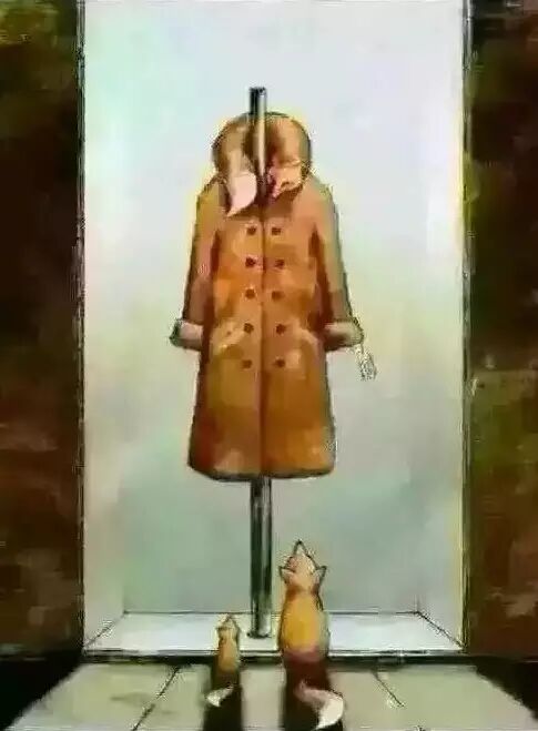 让人心碎的保护动物宣传海报 第几张让你落泪？ - 随缘（宗忠） - m15610087517的博客