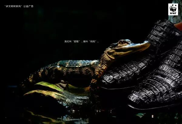 让人心碎的保护动物宣传海报 第几张让你落泪？ - 随缘（宗忠） - m15610087517的博客