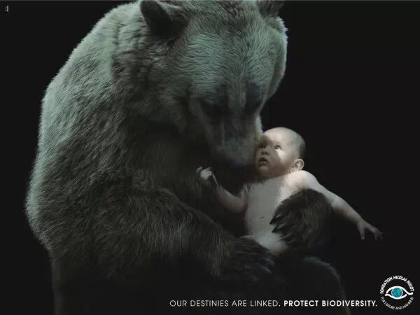 让人心碎的保护动物宣传海报 第几张让你落泪？ - 随缘（宗忠） - m15610087517的博客