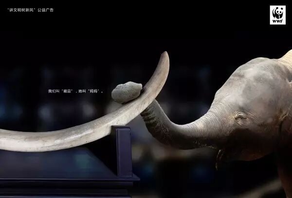 让人心碎的保护动物宣传海报 第几张让你落泪？ - 随缘（宗忠） - m15610087517的博客