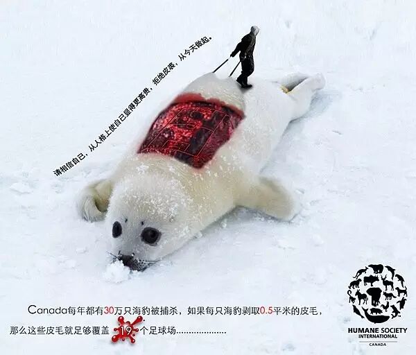 让人心碎的保护动物宣传海报 第几张让你落泪？ - 随缘（宗忠） - m15610087517的博客