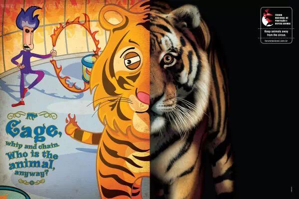 让人心碎的保护动物宣传海报 第几张让你落泪？ - 随缘（宗忠） - m15610087517的博客